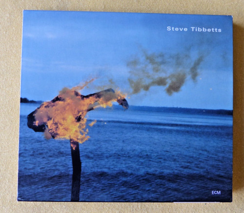 Steve tibbetts man about - steve,